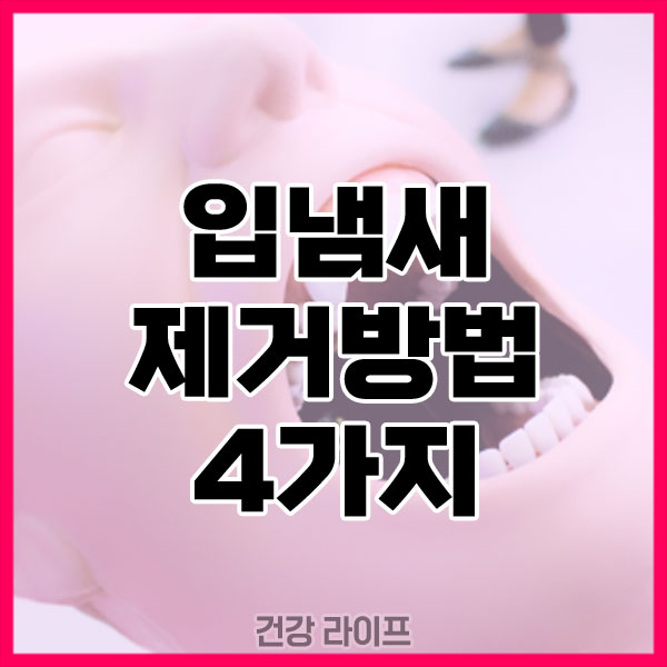 입냄새 제거방법