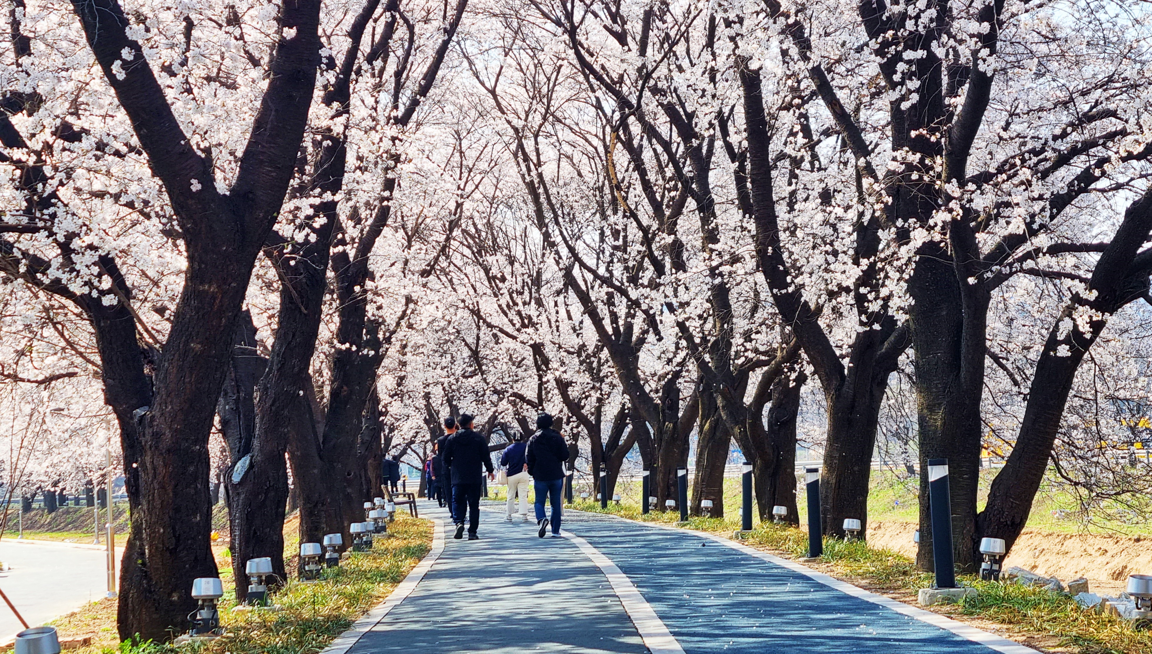 청안 이미지