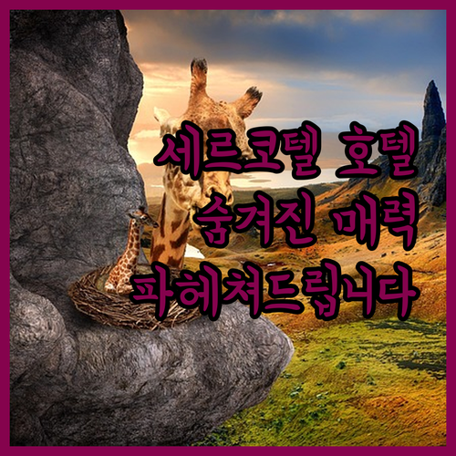 세르코텔 발렌시아 알라메다 41, 숨