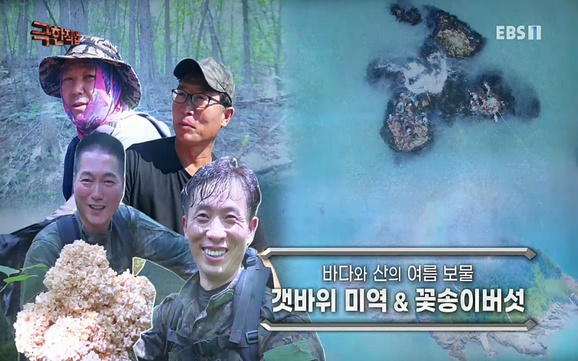 TV - 교육의 중심 EBS바다와 산의 여름 보물, 갯바위 미역 & 꽃송이버섯.mp4_20220828_143740.636.jpg