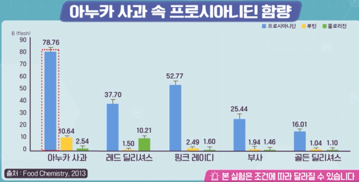  아누카 사과 효능 및 탈모에 좋은 효소