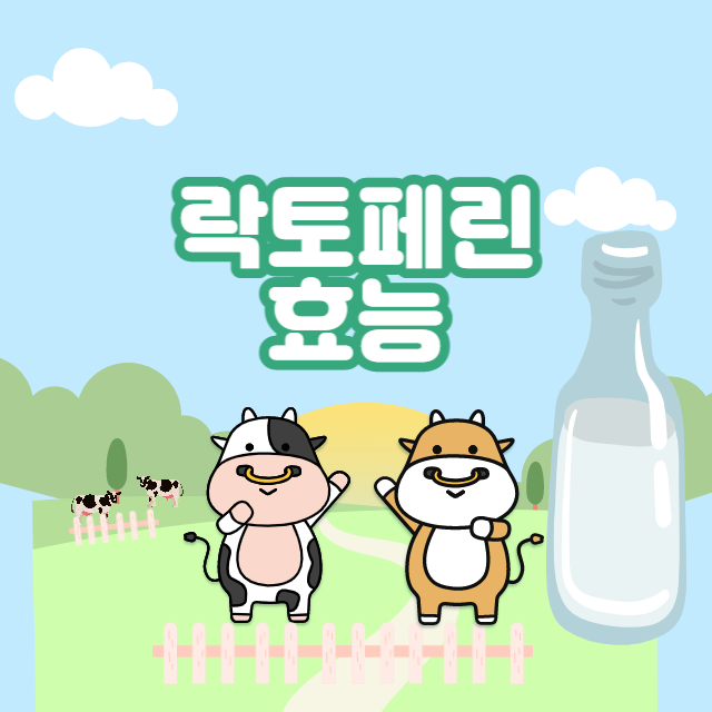  락토페린 효능 복용법 부작용 알고먹는 락토페린 유산균