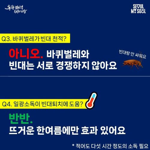 빈대 팩트 체크 전문가 8문 8답