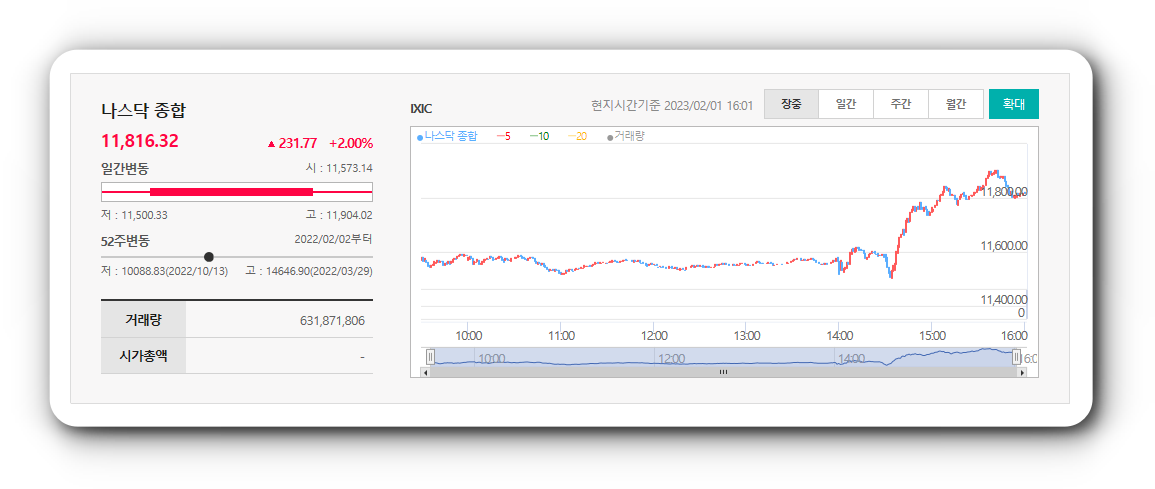  2월1일 미국주식 상승률 상위 종목 TOP 300