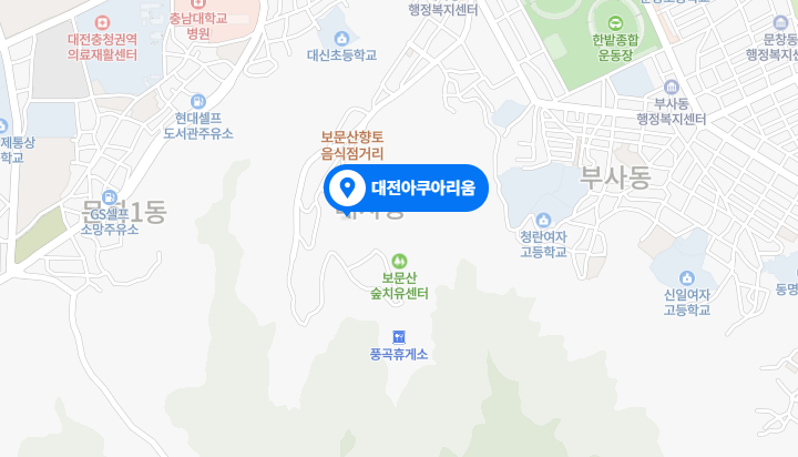 대전 가볼 만한 곳 베스트 5 (+맛집 명소 관광지 볼거리 꿀팁 총정리)