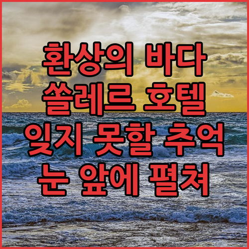 눈 앞에 펼쳐지는 환상적인 바다, 호
