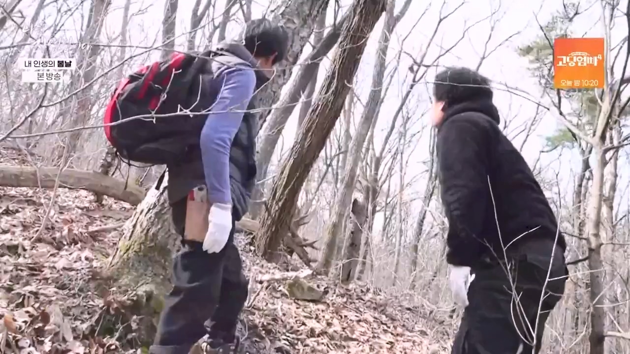 나는 자연인이다.E599.240328p-NEXT.mp4_20240328_195834.147.jpg