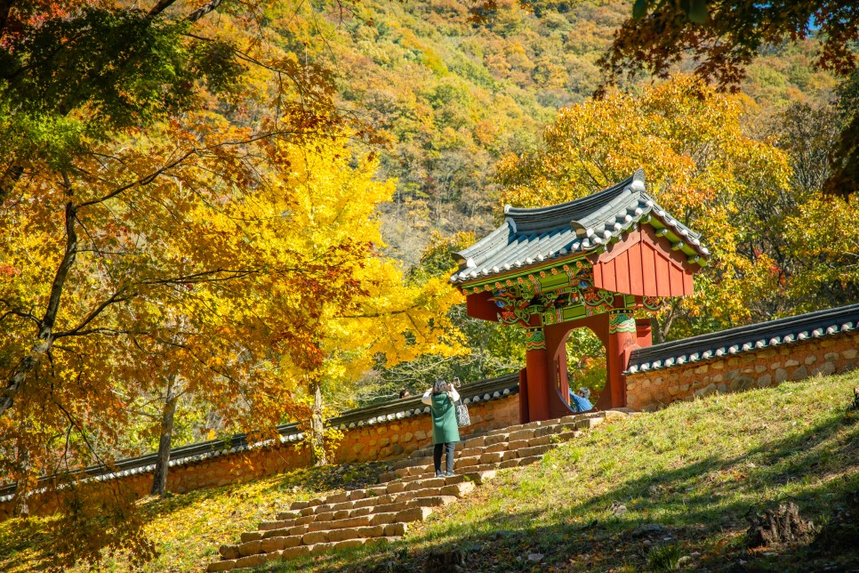 명소 - 장성백양사쌍계루전라도 가을단풍여행 23