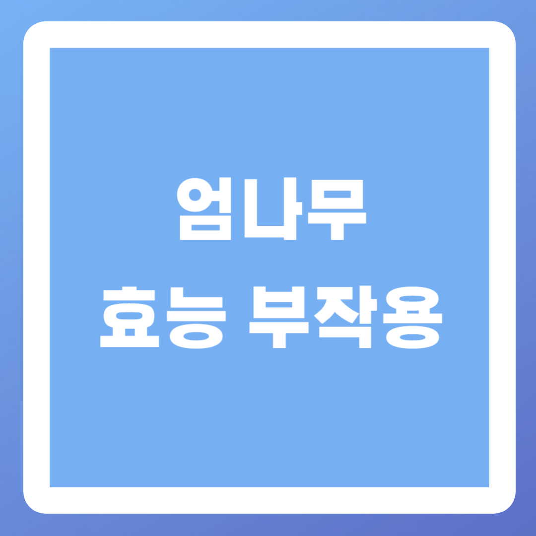 엄나무-효능