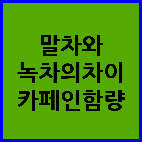 말차와 녹차의 차이, 카페인 함량, 주의점 말차와 녹차의 차이