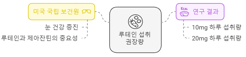 루테인 일일 권장 섭취량