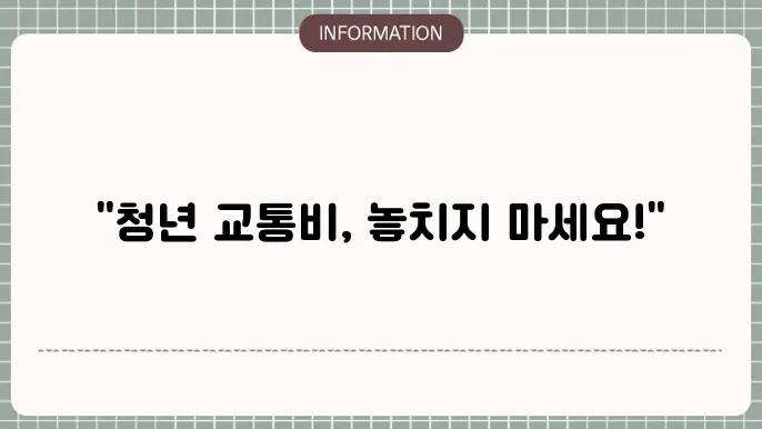서울 청년 교통비 지원 - 기타 지원 사항!