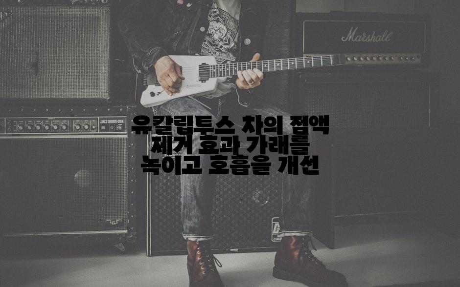 유칼립투스 차의 점액 제거 효과 가래를 녹이고 호흡을 개선