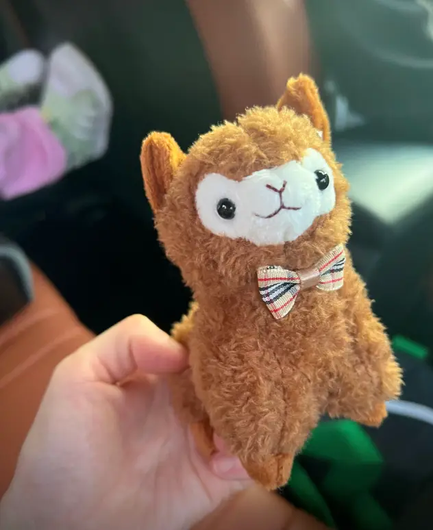 알파카목장6