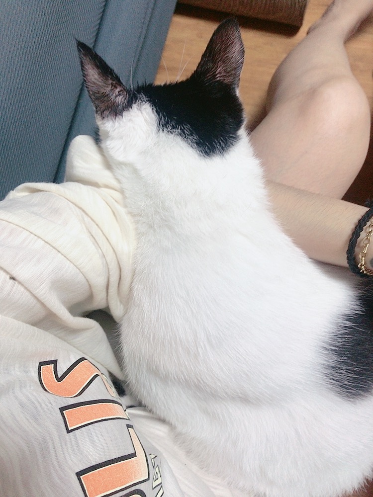 alt 태그
