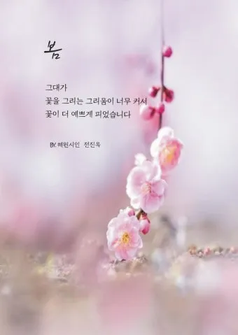 봄 시 모음 이해인 나태주 명시 모음_7