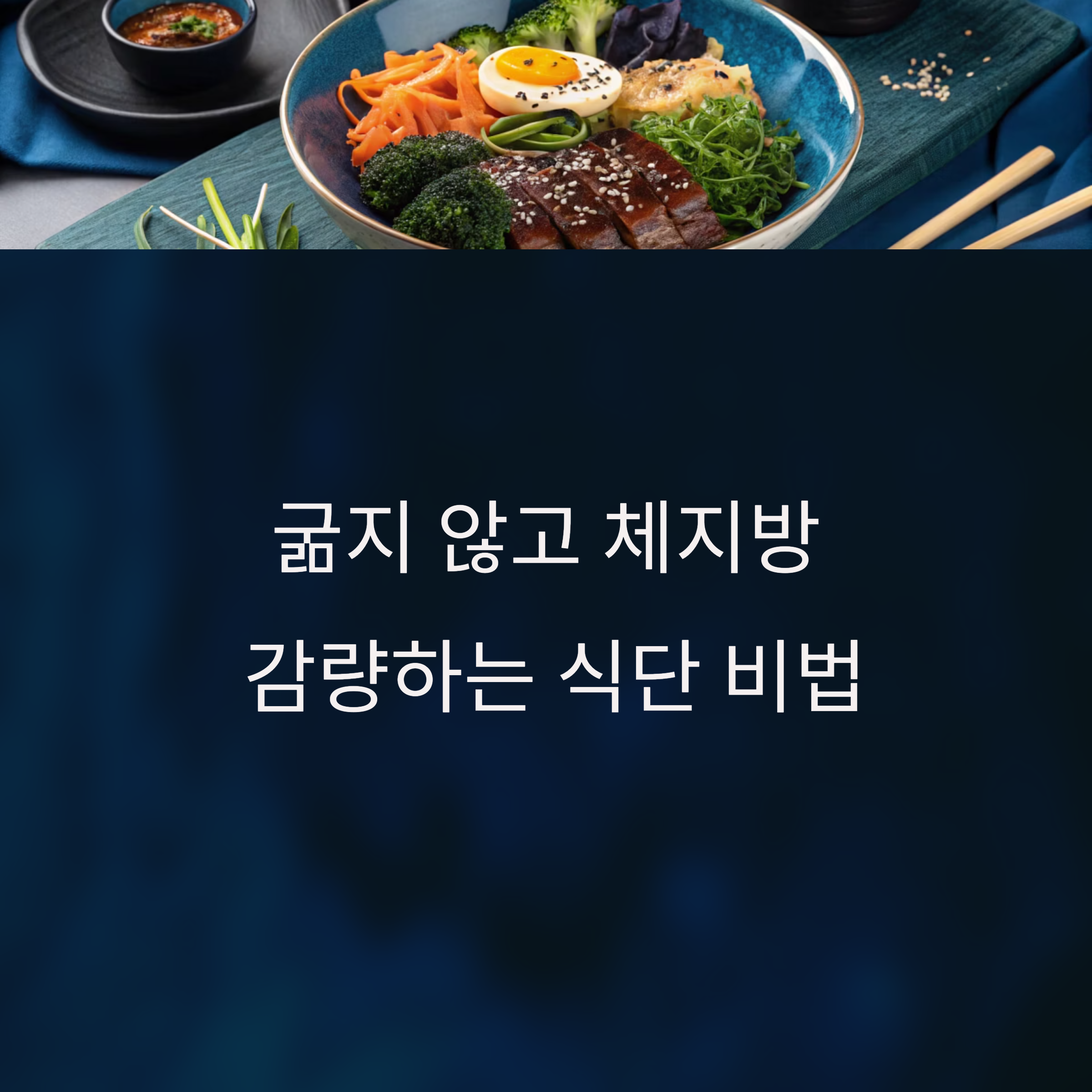 다이어트 식단 구성법