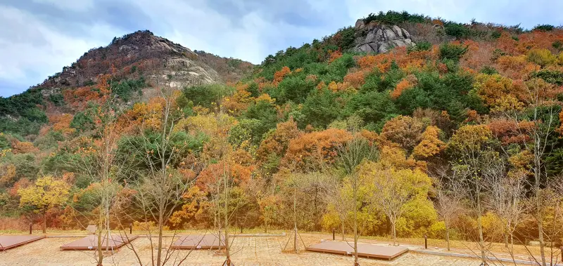 황매산-오토캠핑장-단풍