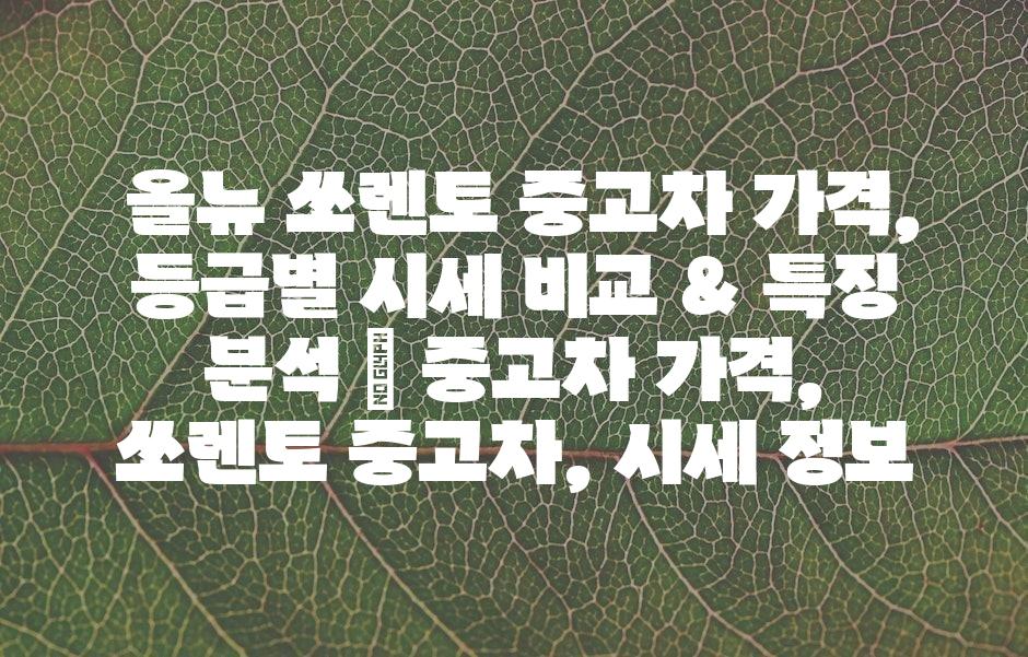 샘플 (43)