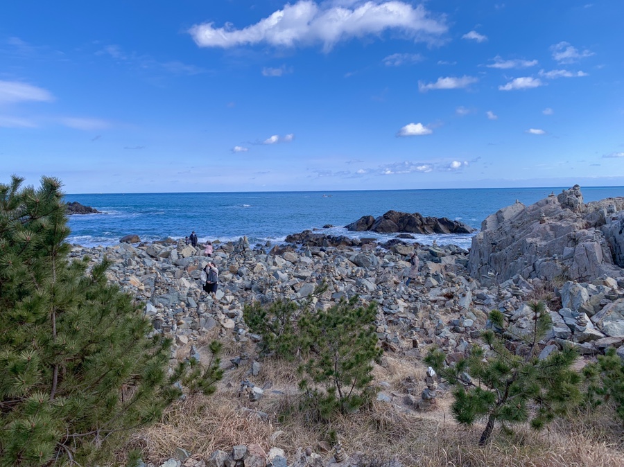 주차 꿀팁 (Hint : 해파랑길 2코스) 부산 여행 필수 코스! 해동용궁사 11