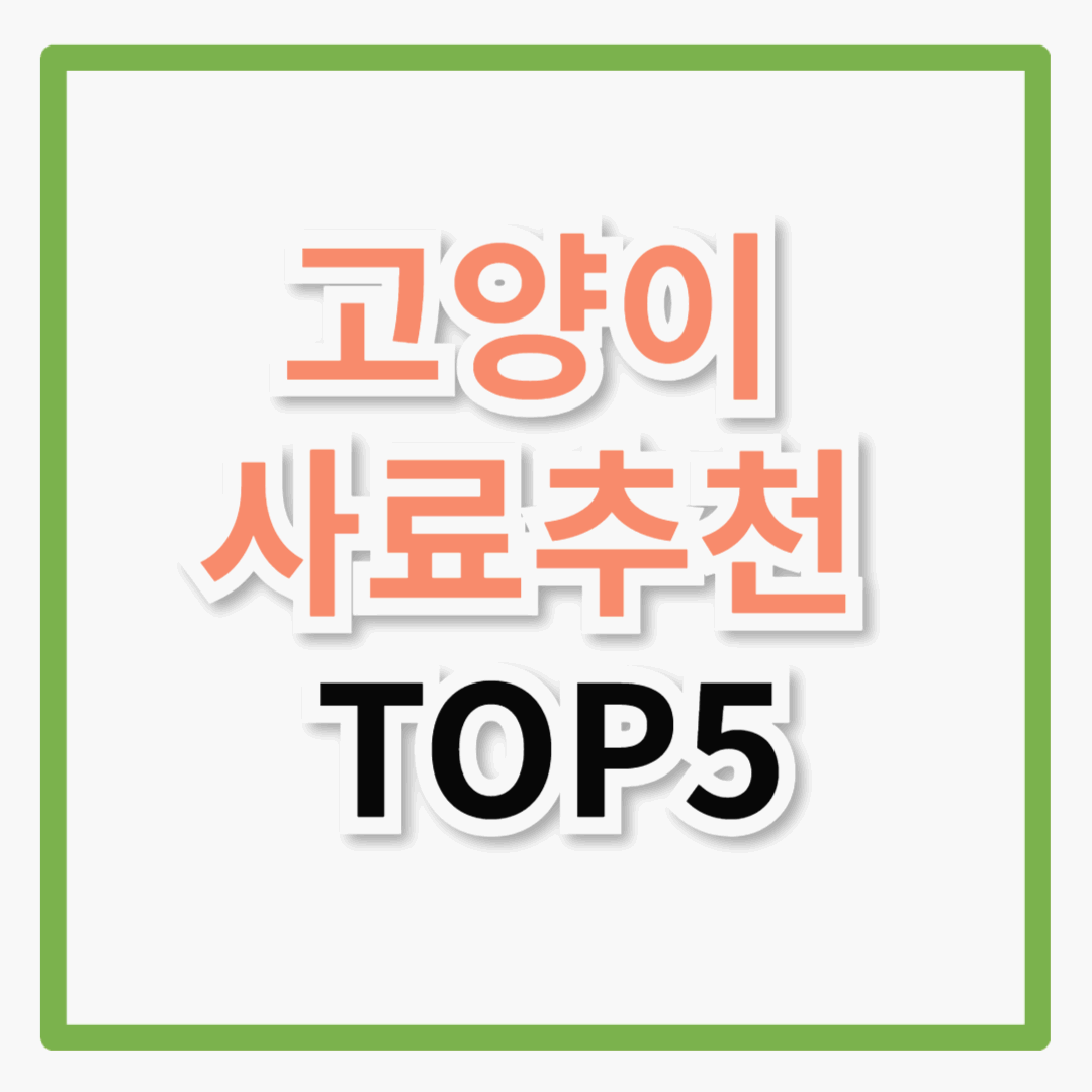 고양이 사료 추천! 잘못 먹이면 안 되는 고양이 사료 추천 TOP 5