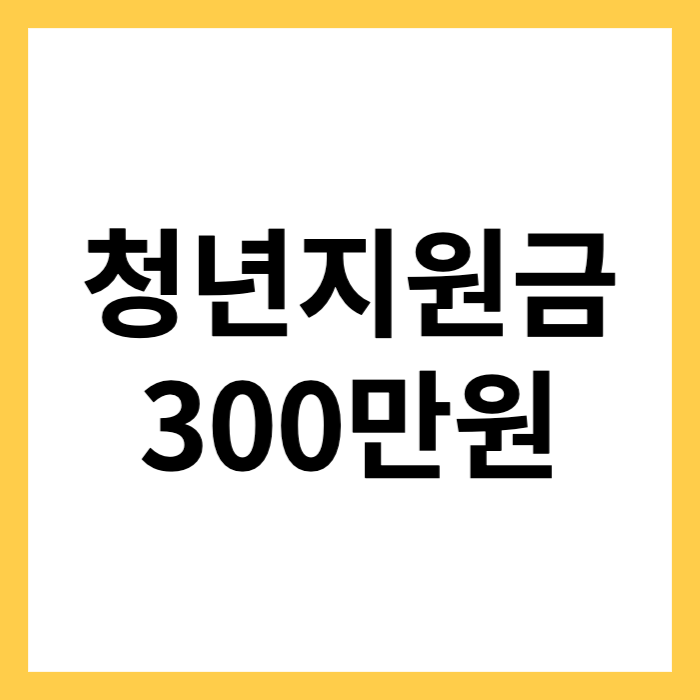 청년지원금