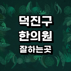 전주 덕진구 한의원