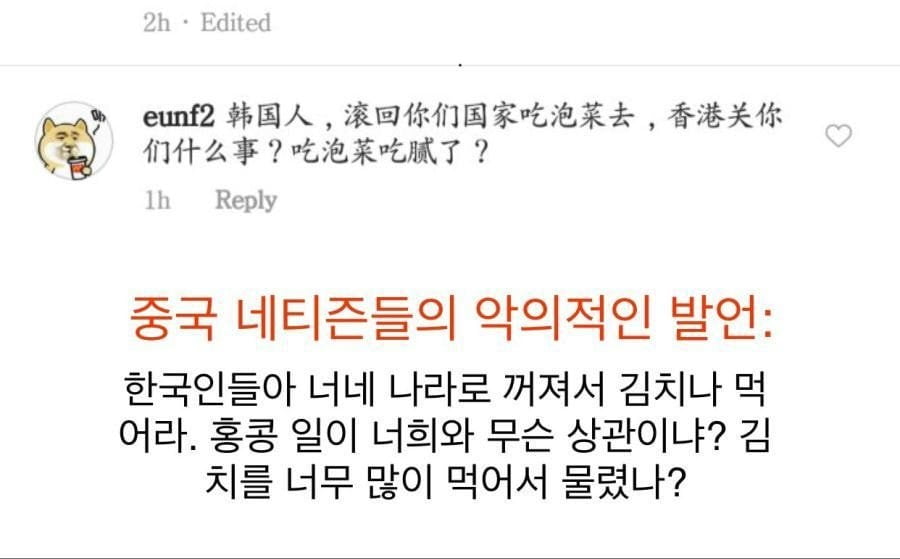  작년까지 중국인들이 한국인 욕할때 쓰던 단어...jpg