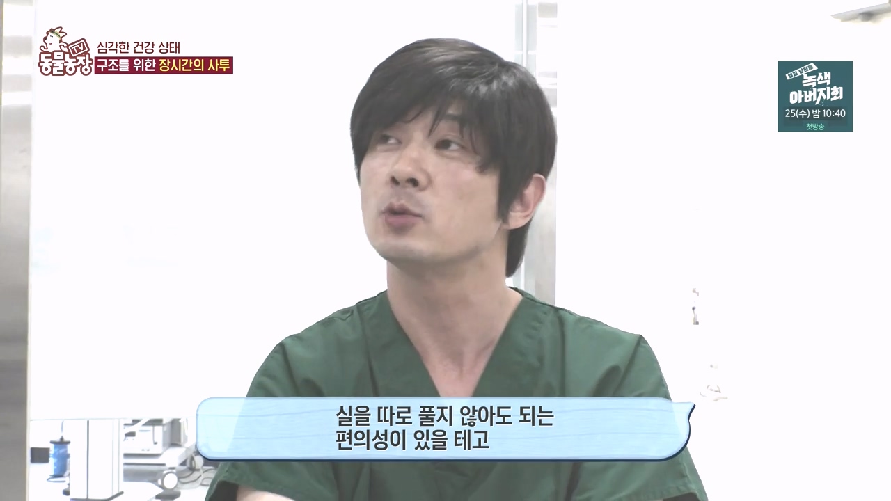 TV 동물농장.E1142.231023p-NEXT.mp4_20231022_172911.224.jpg