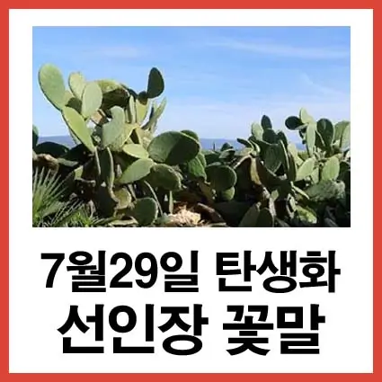 7월29일 탄생화 선인장 꽃말