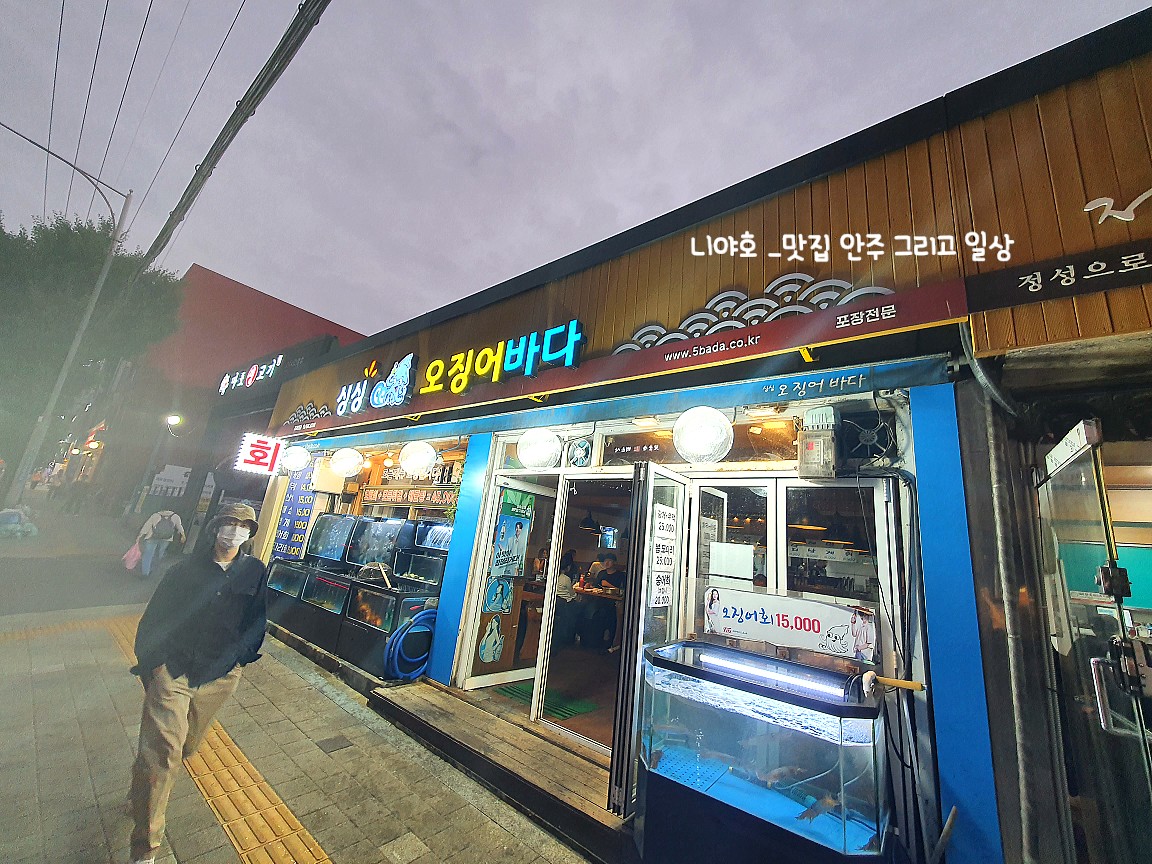 싱싱오징어 이미지