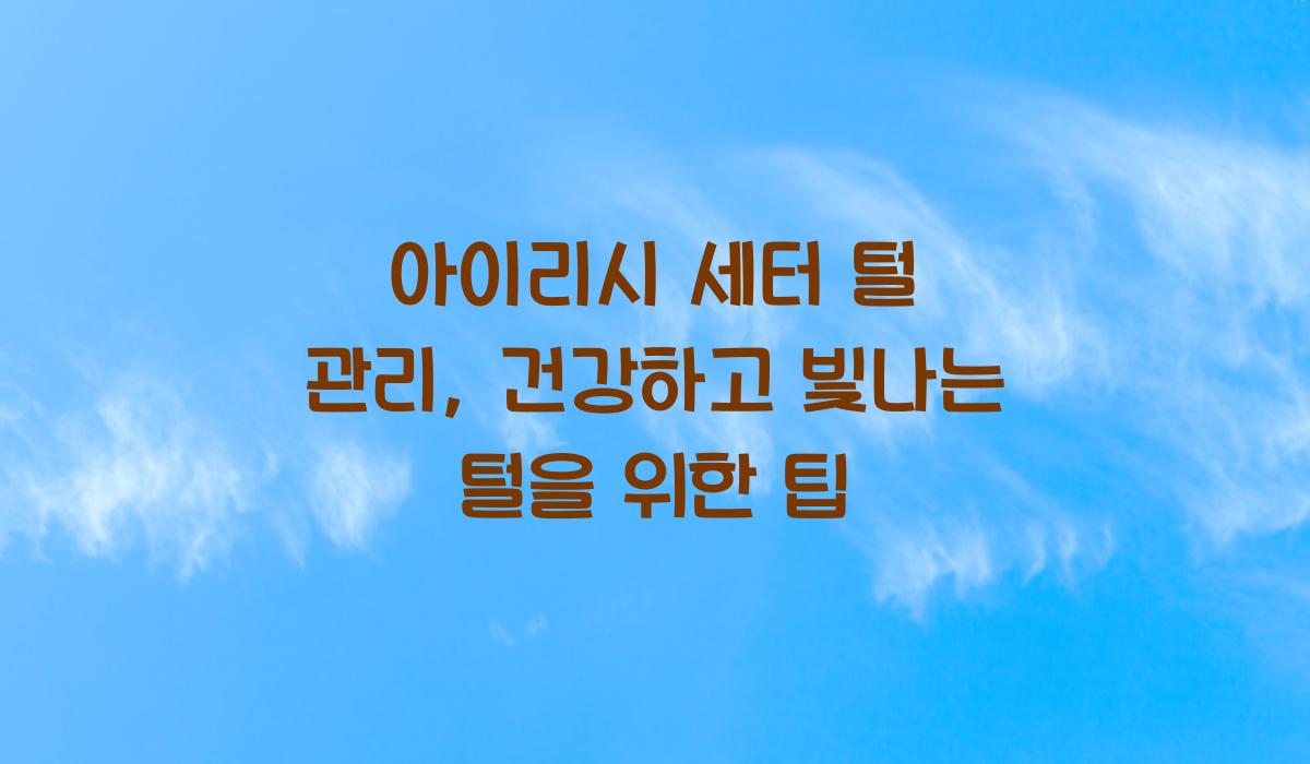 아이리시 세터 털 관리