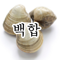 백합조개