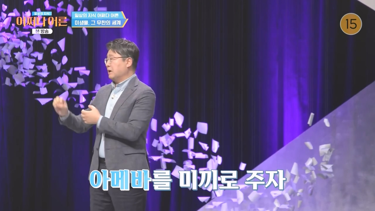 어쩌다 어른.E51.240410p-NEXT.mp4_20240410_170458.727.jpg