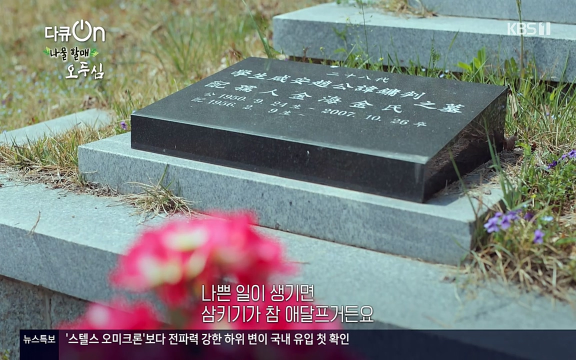 다큐 온.E138.220507p-NEXT.mp4_20220507_182554.094.jpg