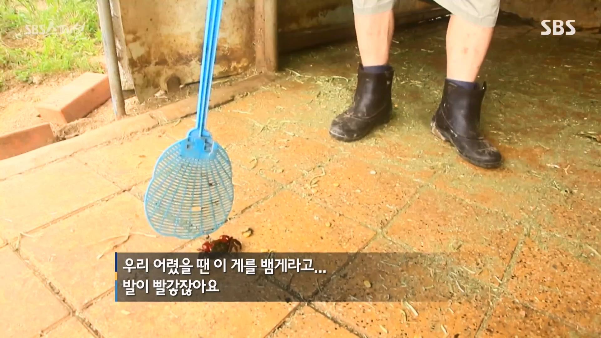 일요특선 다큐멘터리.E344.240310p-NEXT.mp4_20240310_160119.947.jpg