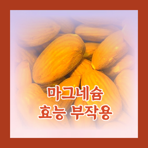마그네슘 효능 부작용