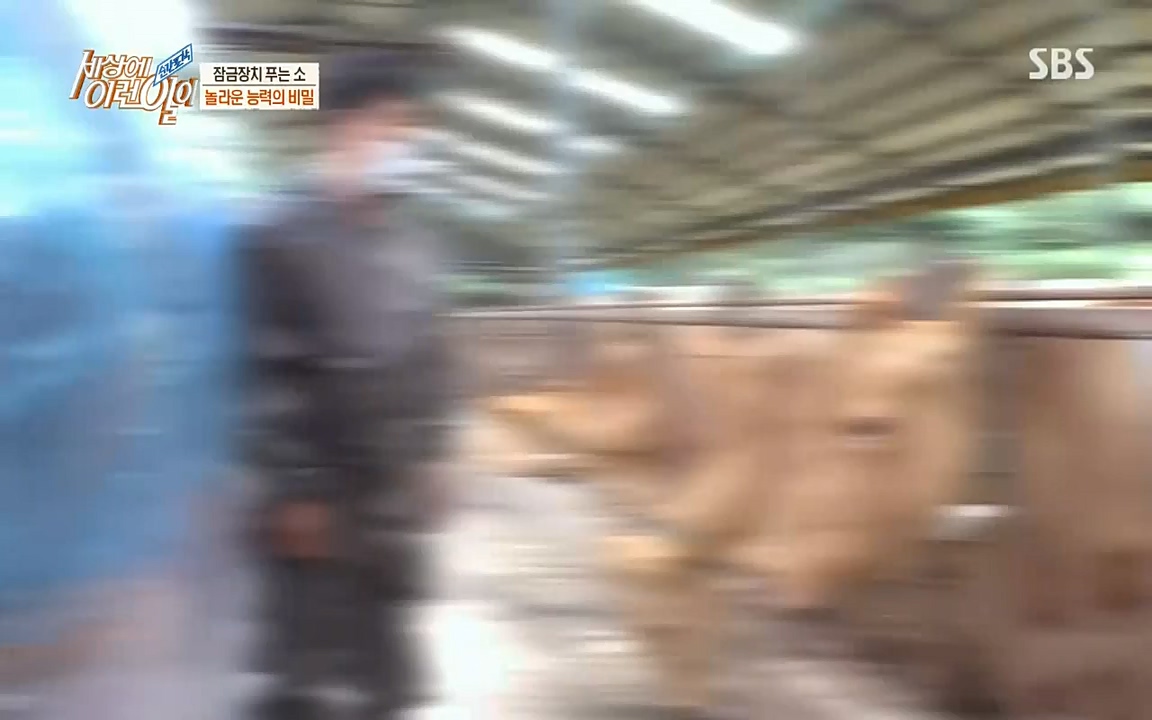 순간포착 세상에 이런일이.E1190.220727p-NICE.mp4_20220727_202105.675.jpg