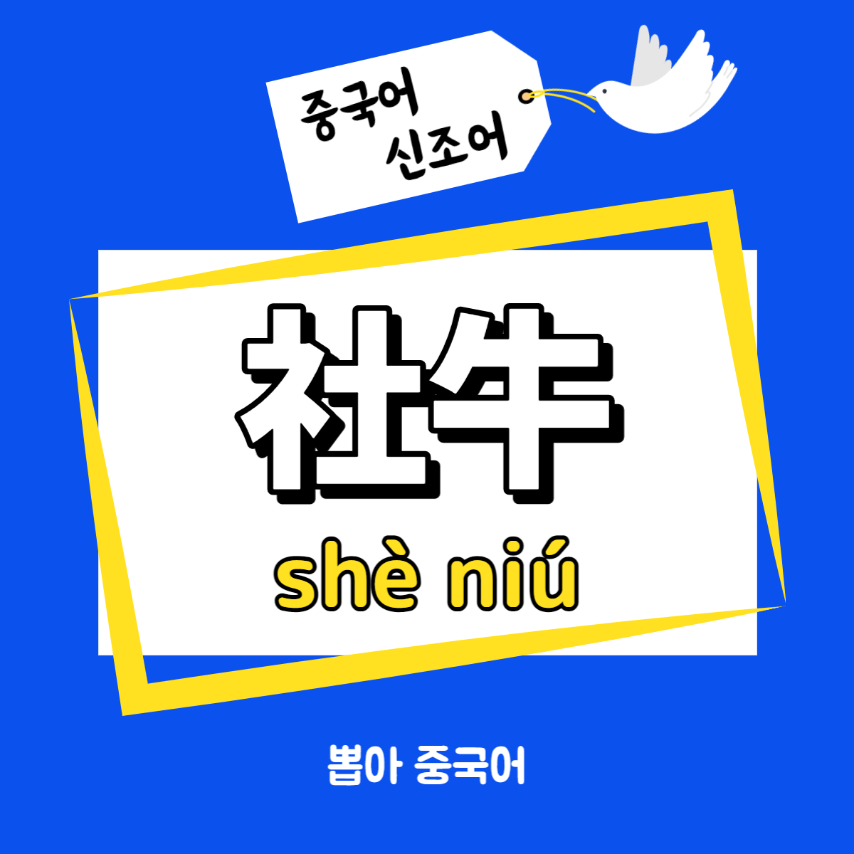 인싸