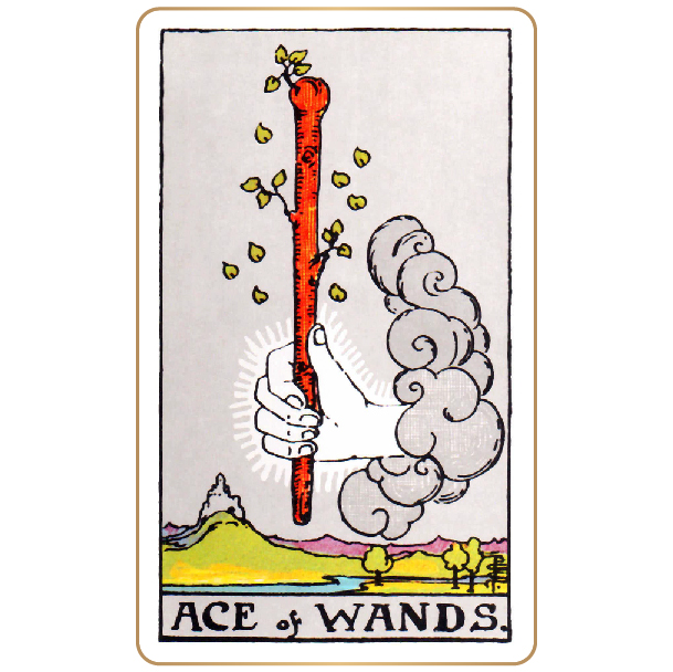  < 완드 1 > 카드 연애˙사업˙금전운 / WAND_ACE of WANDS
