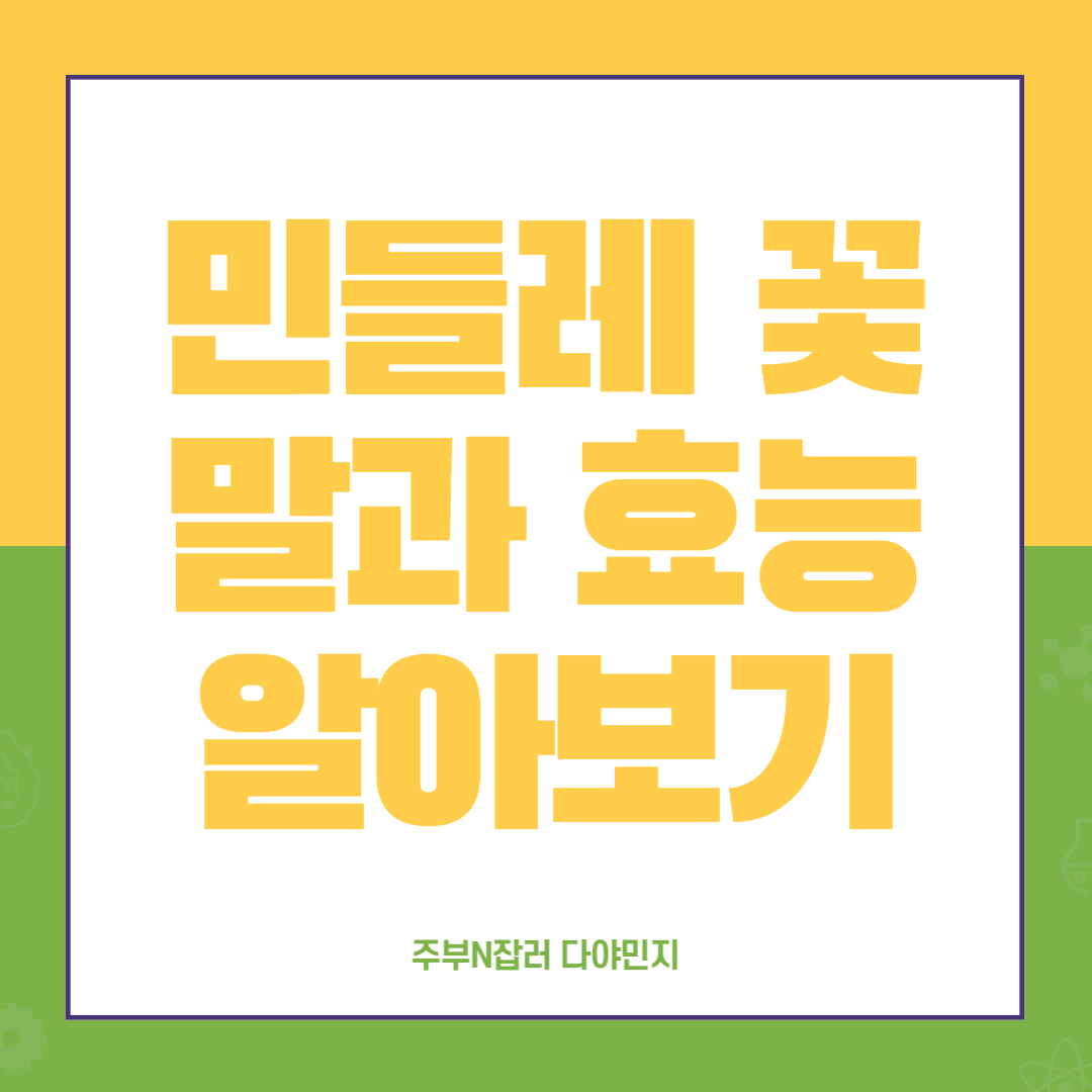 민들레_꽃말과_효능_알아보기