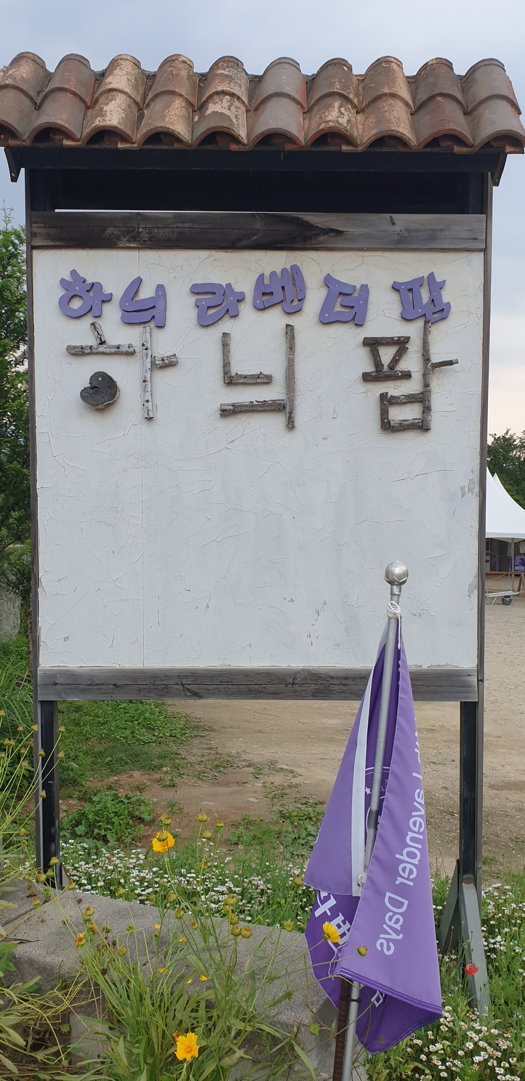  고성 하늬라벤다더팜의 소소한 풍경