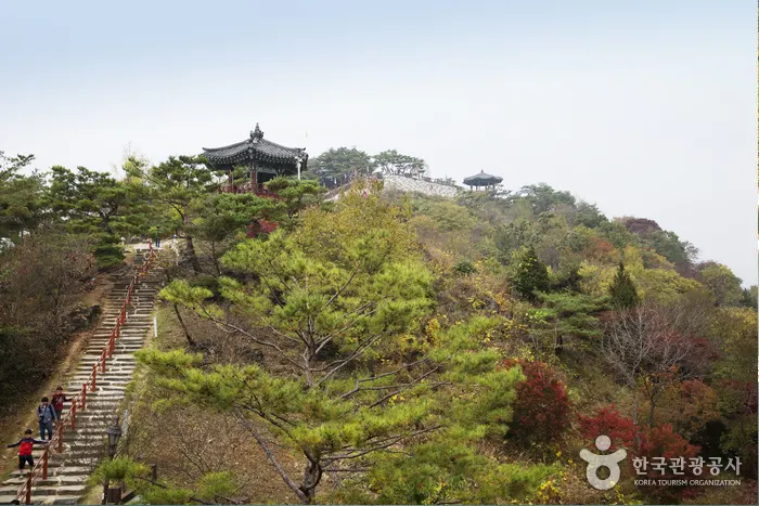청풍 문화재단지 전경 이미지