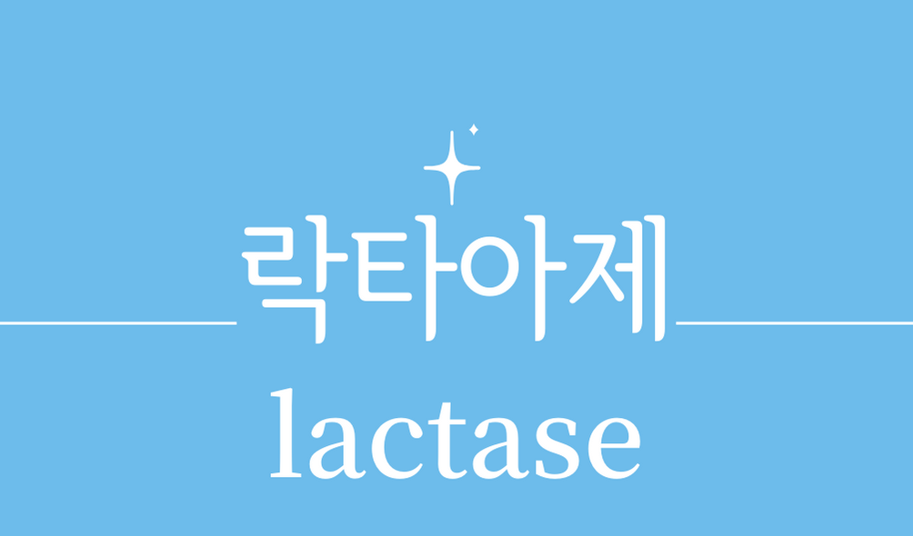 &#39;락타아제(lactase)&#39;