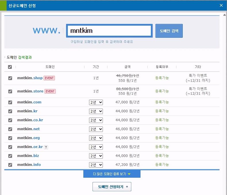 카페24 신규 도메인 신청