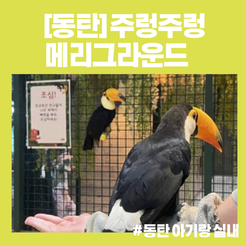  [동탄 18개월 아기랑 갈만한 곳] 실내동물원 주렁주렁, 라크몽 메리그라운드