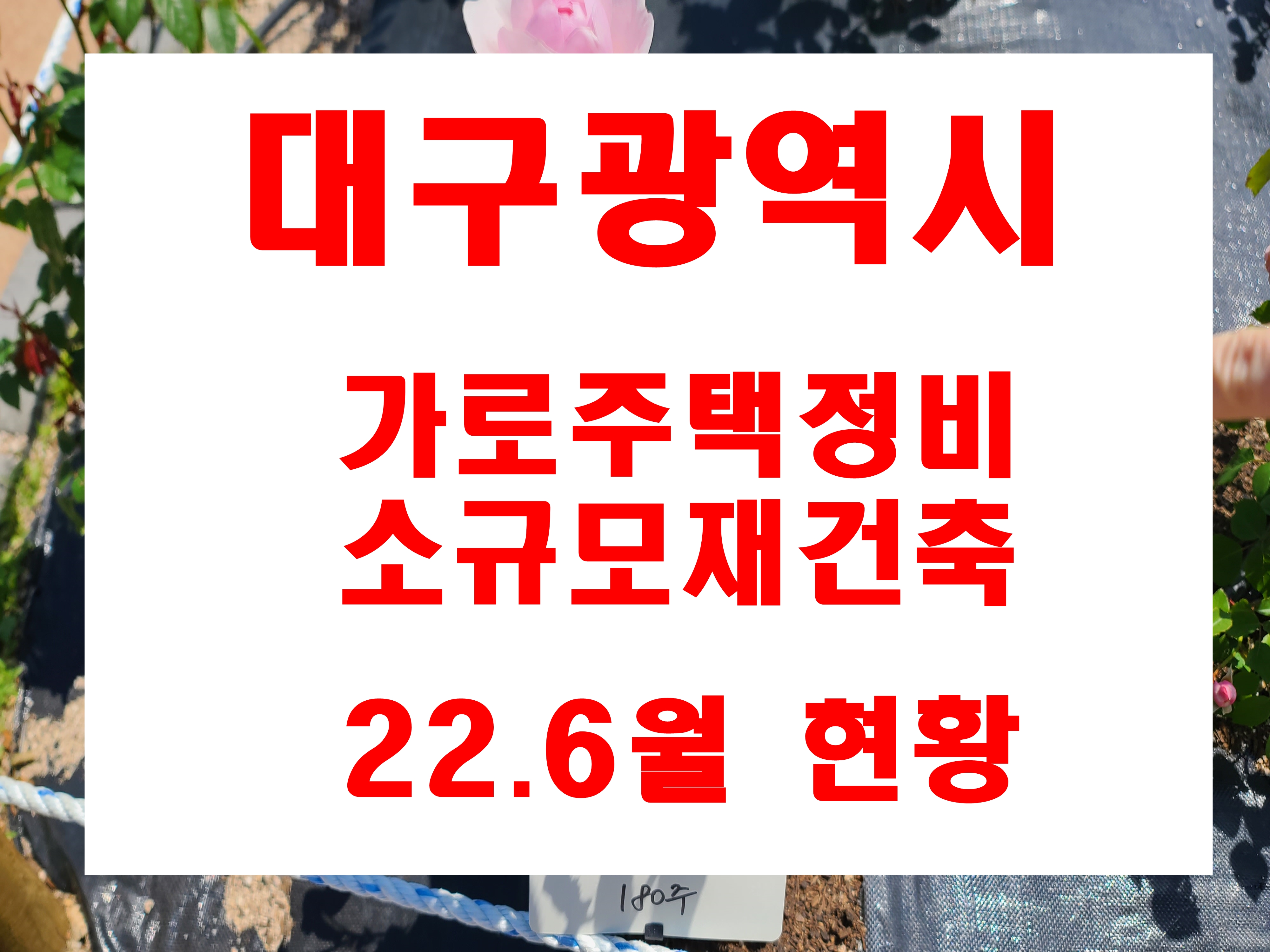  대구 광역시 소규모 재건축 사업 및  가로주택정비사업 22년 5월말 추진현황 정보