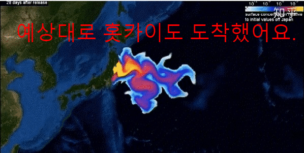  [홋카이도] 물고기 떼죽음 원인은?