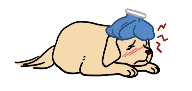  강아지, 잘 걸리는 질병 / 증상 / 치료