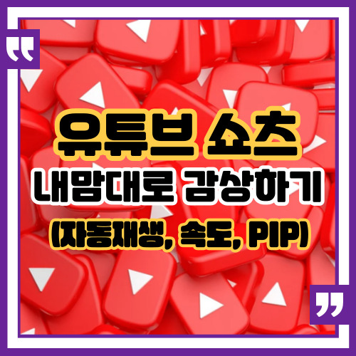  유튜브 쇼츠, 내맘대로 감상하기 (자동재생, PIP까지)